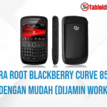 Cara Root Blackberry Curve 8520 Dengan Mudah (100% Work)
