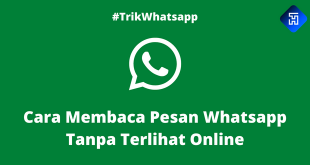 Cara Membaca Pesan Whatsapp Tanpa Terlihat Online