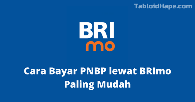 Cara Bayar PNBP lewat BRImo Paling Mudah