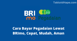 Cara Bayar Pegadaian Lewat BRImo, Cepat, Mudah, Aman