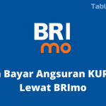 Cara Bayar Angsuran KUR BRI Lewat BRImo