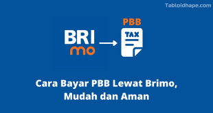 Cara Bayar PBB Lewat Brimo, Mudah dan Aman