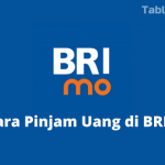 7 Langkah atau Cara Pinjam Uang di BRImo
