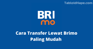 Cara Transfer Lewat Brimo Paling Mudah