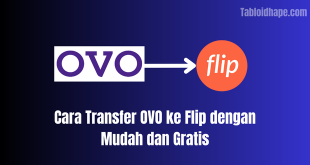 Cara Transfer OVO ke Flip dengan Mudah dan Gratis
