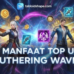 Manfaat Top Up Wuthering Waves